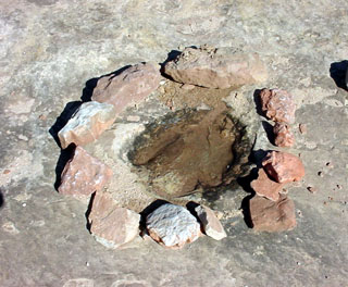 Wet Tracks Show Well