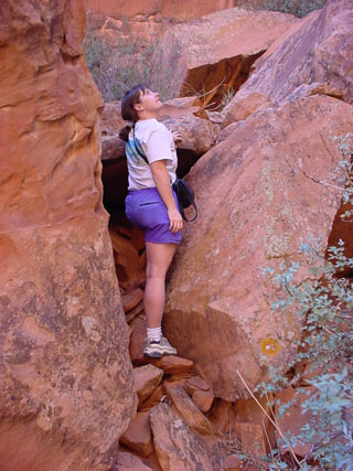 Ak's Sense Of Snow Jobs