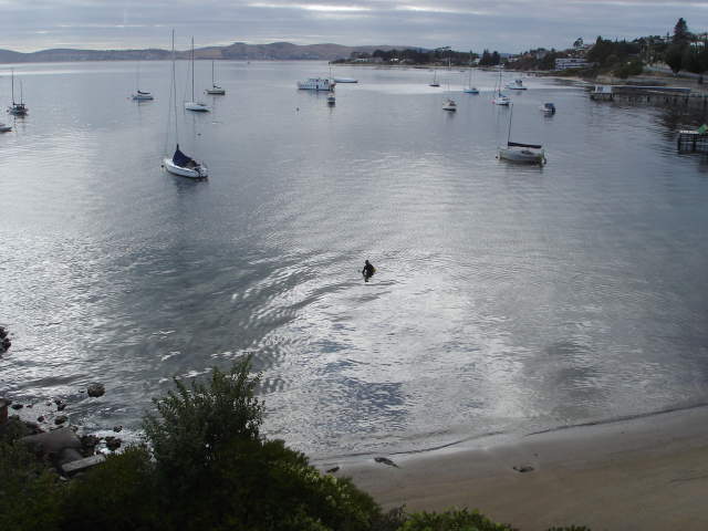 
The Derwent From Wrest Point