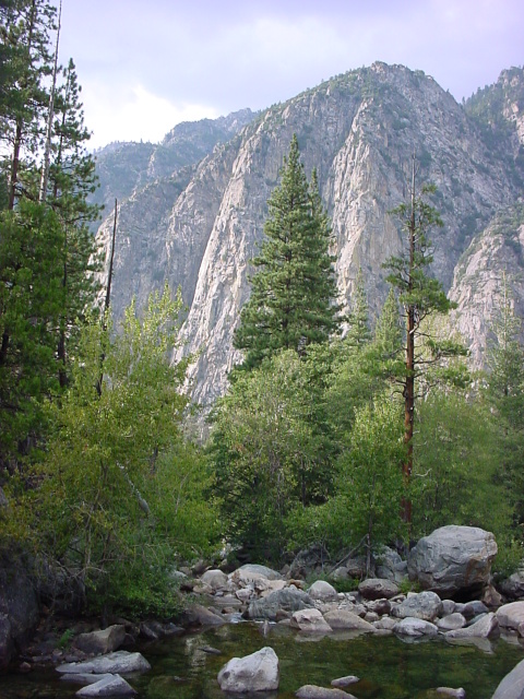 
Unreal Light On Trees and Mountains In Kings Canyon